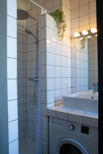une salle de bain avec un lavabo et une machine à laver dans l'établissement Cosy one bedroom close to Paris & Stade de France, à Saint-Denis