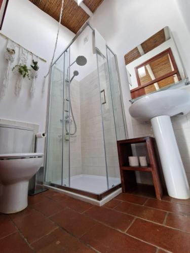 a bathroom with a shower and a toilet and a sink at Horta das Laranjas in Serpa