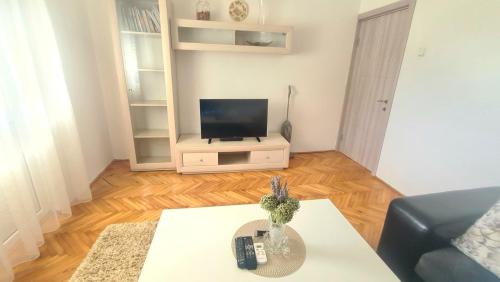 a living room with a tv and a couch at Apartman Stefan in Tivat
