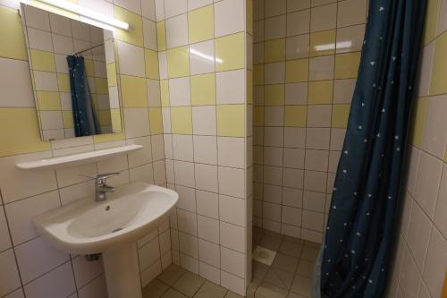 a bathroom with a sink and a mirror and a shower at Auberge de Jeunesse de Mulhouse in Mulhouse
