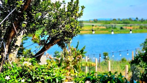 a view of a lake with a fence and a tree at Cola House in Plei Rông Dup