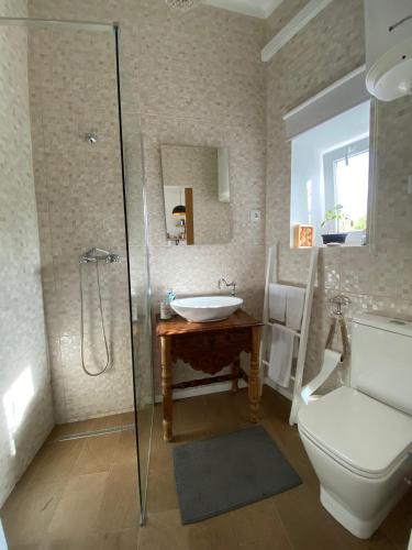 a bathroom with a toilet and a sink and a shower at Casa do Montinho in Caminha