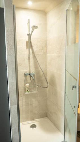 une douche avec une porte vitrée dans une salle de bain dans l'établissement Les Terrasses de l'Orangerie, à Durtal