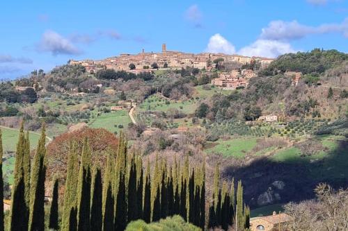 a hill with a town on top of a mountain at SerenaHouse in Radicondoli
