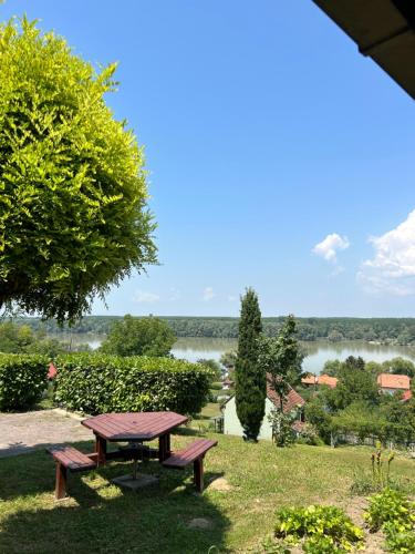 a picnic table in the grass with a view of a lake at Queen of Danube in Aljmaš