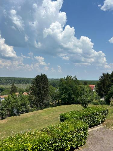 a green hill with trees and clouds in the sky at Queen of Danube in Aljmaš