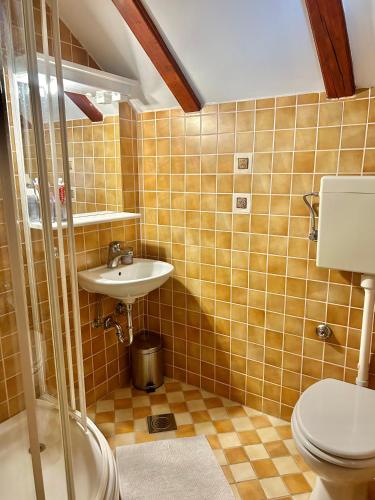 a bathroom with a sink and a toilet at Queen of Danube in Aljmaš