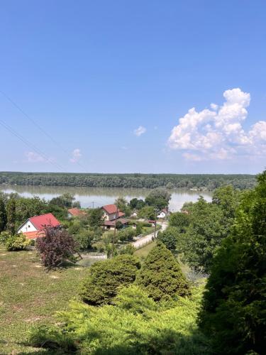 a view of a river with houses and trees at Queen of Danube in Aljmaš