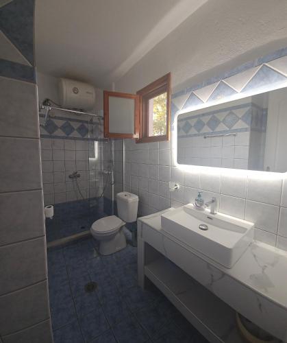a bathroom with a sink and a toilet at Drosia apartments in Skiathos