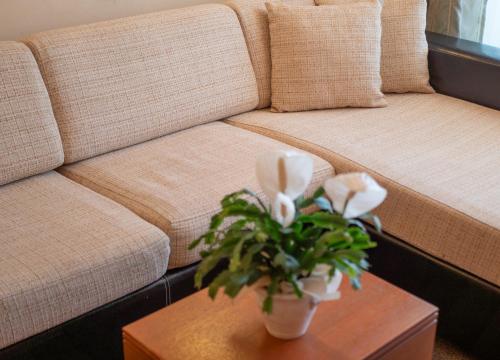 a living room with a couch and a table with a plant at Monte Casa SPA & Wellness in Petrovac na Moru