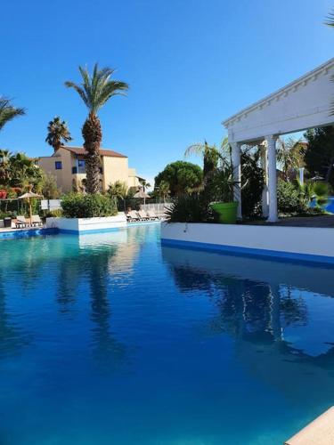 une piscine avec de l'eau bleue et des palmiers dans l'établissement Agréable et familiale T2 Canet Plage, à Canet