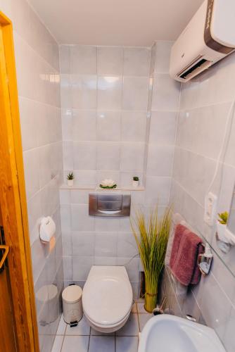 a small bathroom with a toilet and a sink at Dama s kamelijama in Sveti Martin na Muri