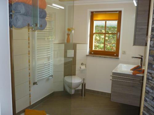 uma casa de banho com um WC, um lavatório e uma janela em Ferienwohnung Lämpelberg em Klingenthal