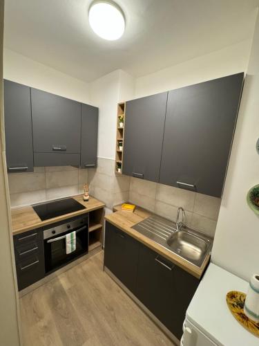 a kitchen with black cabinets and a stainless steel sink at Casa Facetti presso HOTEL KRISTALL in Diano Marina