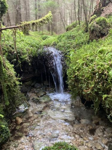 a small waterfall in the middle of a creek at Nad Soutokem in Volary