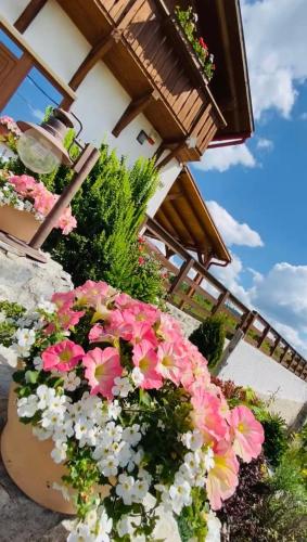 a bunch of flowers in front of a building at Gold Horse Vendégház in Szilvásvárad