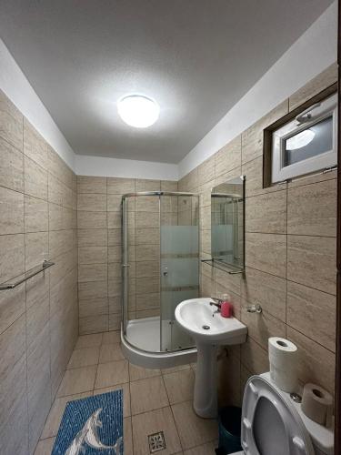 a bathroom with a shower and a sink and a toilet at Casa Anais in Slăvuţa
