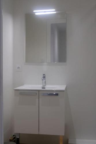 - une cuisine blanche avec un évier et un miroir dans l'établissement R'Apparts T2 Duplex Urbain, à Grenoble