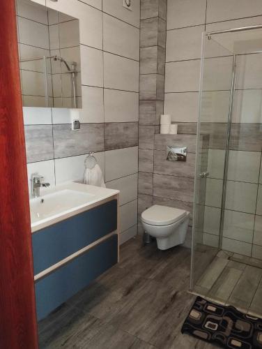 a bathroom with a toilet and a sink and a shower at Checz Gościnna- pokoje,sauna,jacuzzi, sala konferencyjna in Grzybno