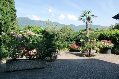 a garden with a palm tree and some bushes at Neuprantl Apartments in Lana