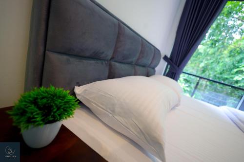 a pillow and a plant on a bed with a window at Forest Face Lodge in Gurudeniya