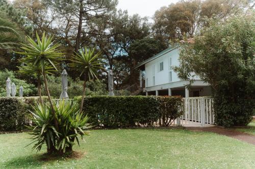 a house with a palm tree in a yard at Maison du Parc - Vue canal in Hossegor