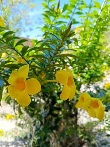 CASA LA ESTANCIA NATURALEZA PURaにある庭
