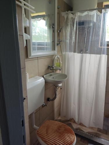 a bathroom with a toilet and a sink and a shower at Apartman Plivsko Jezero Jajce in Jajce