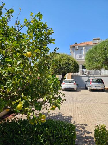 Gallery image of Natura Studios in Andipáta Erísou