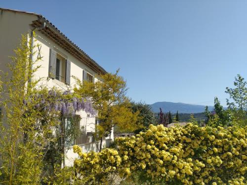Un bâtiment avec un bouquet de fleurs jaunes devant lui dans l'établissement Villa face au Mont Ventoux avec bassin, à Modène