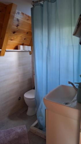 a bathroom with a toilet and a blue shower curtain at Bella Home in Rap