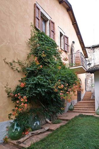 a large bush with flowers on the side of a building at Casale del Monsignore in Spoleto