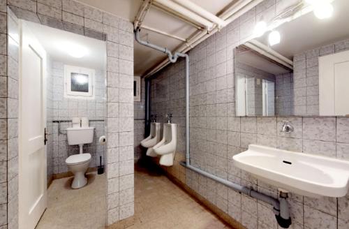 a bathroom with a sink and a toilet and a mirror at Gadmen Alpenrose, Switzerland in Gadmen