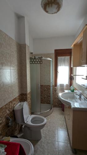 a bathroom with a toilet and a shower and a sink at visitShkoder - Noel's Home in Shkodër