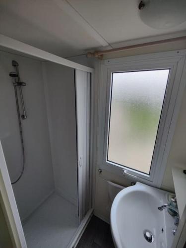 a bathroom with a shower and a sink and a window at Apartma Valce in Zgornje Škofije
