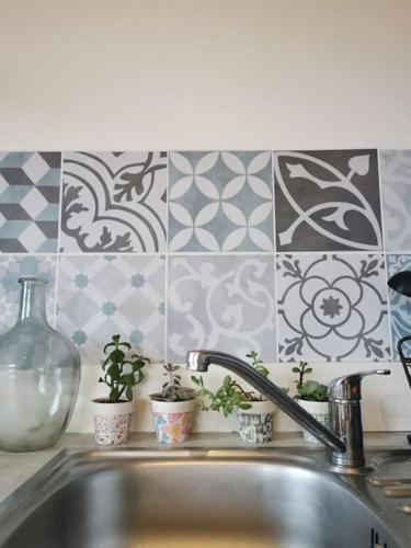 un évier de cuisine avec des plantes en pot sur le comptoir dans l'établissement Loue petite maison individuelle à Bocca Del oro, à Porto-Vecchio