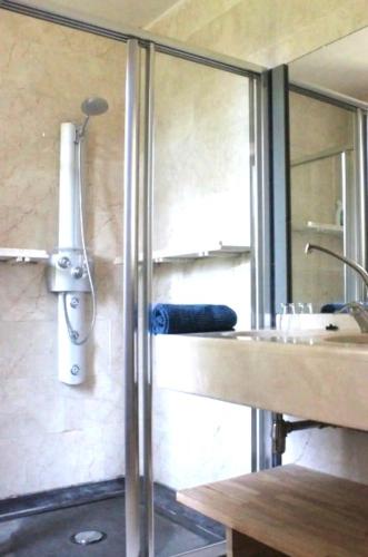 a shower in a bathroom with a sink at Le repos Ardenne (Fays-Famenne) in Wellin