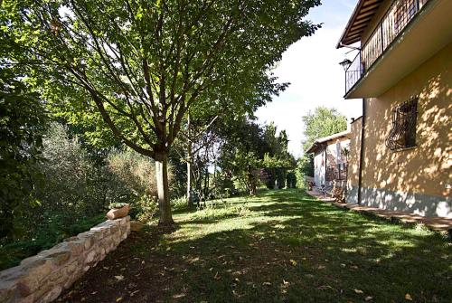 a yard with a tree next to a building at Casale del Monsignore in Spoleto