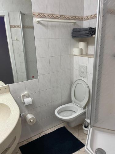 a small bathroom with a toilet and a sink at Moderne Wohnung in St Englmar in Sankt Englmar