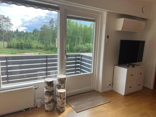 コングスビンゲルにあるStor leilighet på Finnskogen - stillhet og roの大きな窓とテレビのあるリビングルーム