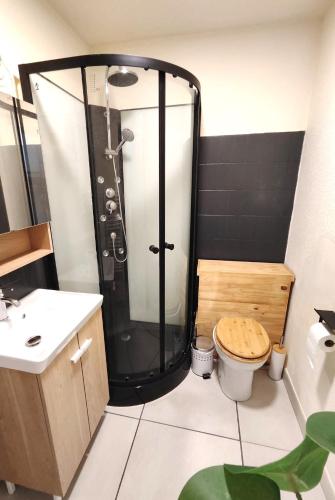 une salle de bain avec douche et toilettes dans l'établissement Studio cosy 2/3 voyageurs, à Vernet-les-Bains