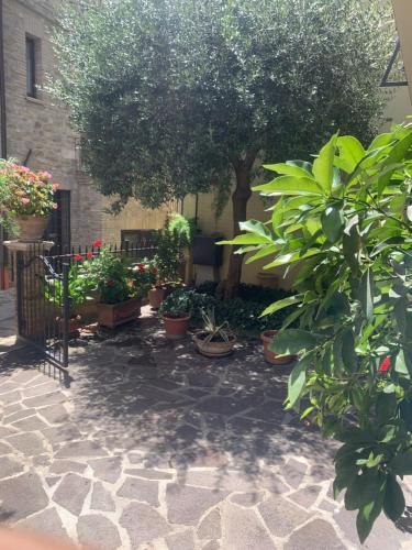 Il Giardinoにある庭