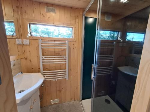 un baño con ducha y lavabo en bieszczadzki holender, en Lipie