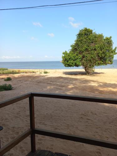 a tree on a beach with the ocean in the background at Casa das Seringueiras in Alter do Chao