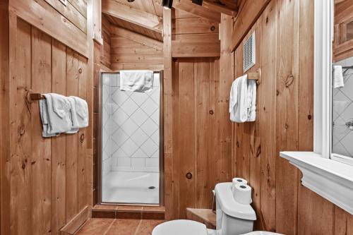 a bathroom with a toilet and a shower at Classy Bear Cabin in Gatlinburg