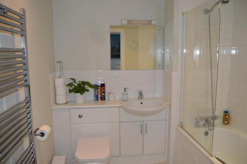 a bathroom with a toilet and a sink and a shower at Entire Apartment next to Canary Wharf in London in London