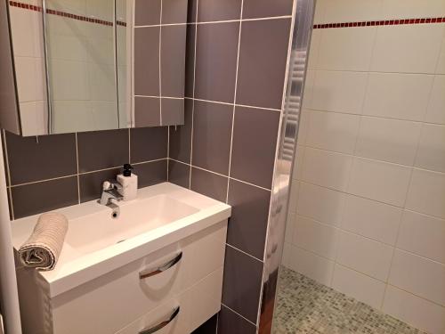 une salle de bain avec un lavabo et un miroir dans l'établissement Chez Léon - Vue cathédrale - Hyper centre ville, à Reims