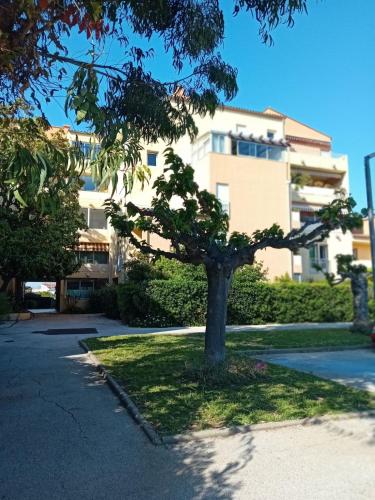 Photo de la galerie de l'établissement Apparemment cosy le pradet, au Pradet