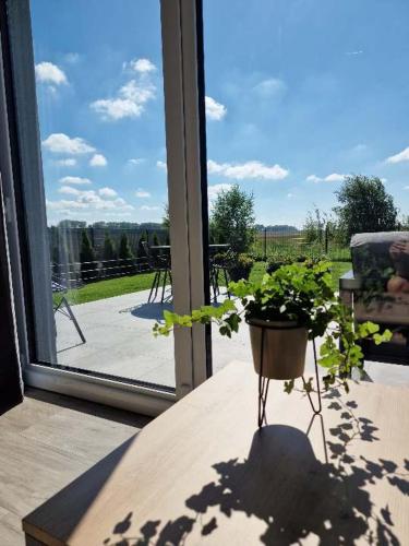 a potted plant sitting on a table in front of a window at Dom Choczewo Zielony Zakątek in Choczewo