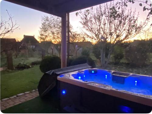 - un bain à remous avec des lumières bleues dans la cour dans l'établissement Les Figuiers, à Gougenheim